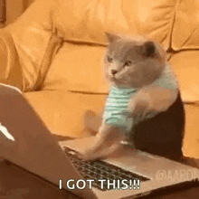 Your GIF Description